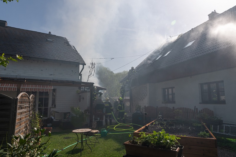 foke_20180429_083356.jpg